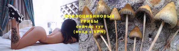 синтетический гашиш Киреевск