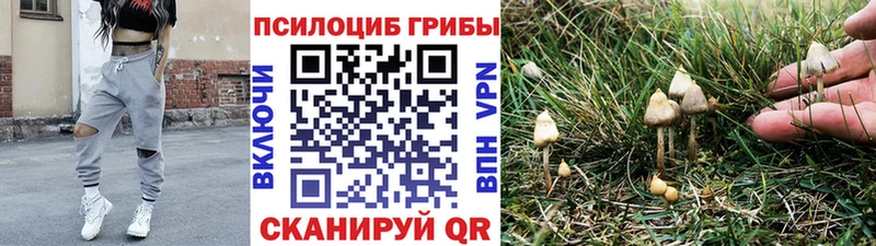 Галлюциногенные грибы ЛСД  Купить закладки  Ессентуки 